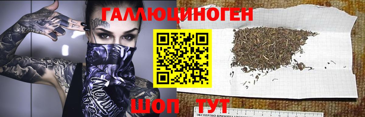 Псилоцибиновые грибы GOLDEN TEACHER Амурск